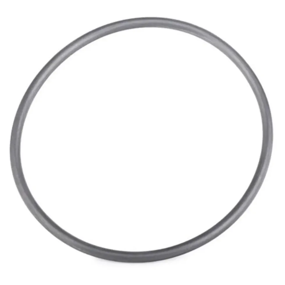 Joint d'étanchéité de pompe à eau pour VW Golf 1 Golf 2 Scirocco Polo 1 et Polo 3