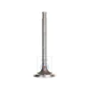 030 109 601 L : intake valve - Einlventil