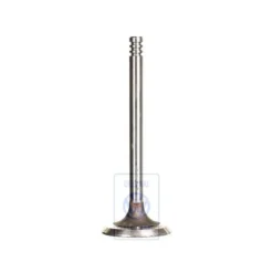 030 109 601 L : intake valve - Einlventil