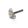 21129221 : - vacuum diaphragm - Unterdruckmembrane